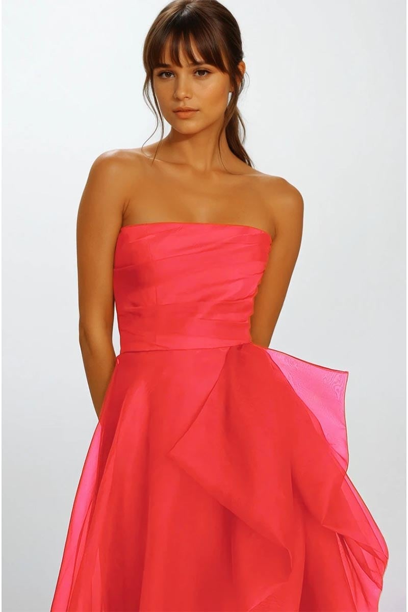 Zoya Strapless Maxi Dress