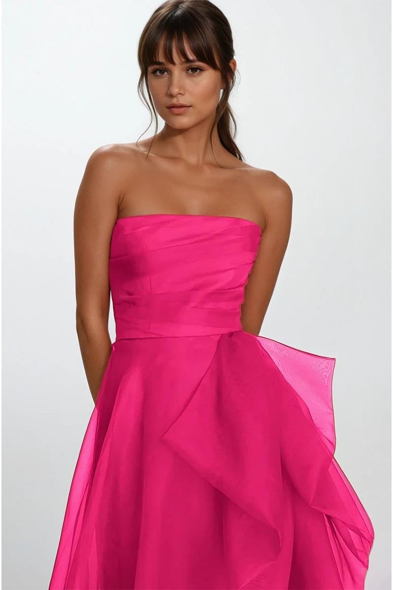 Zoya Strapless Maxi Dress